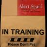 In Training - Alert Scarf